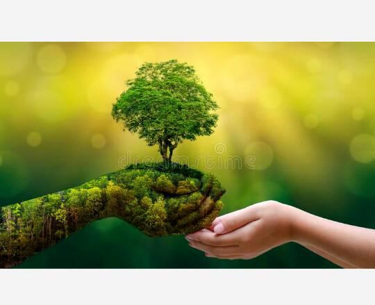 eco sensitive education eco sensitive education